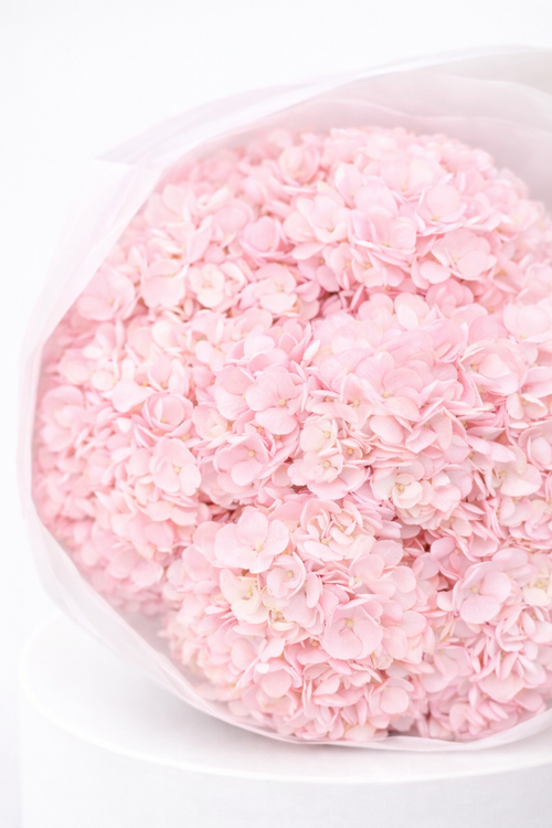 Blush Hydrangea Bouquet